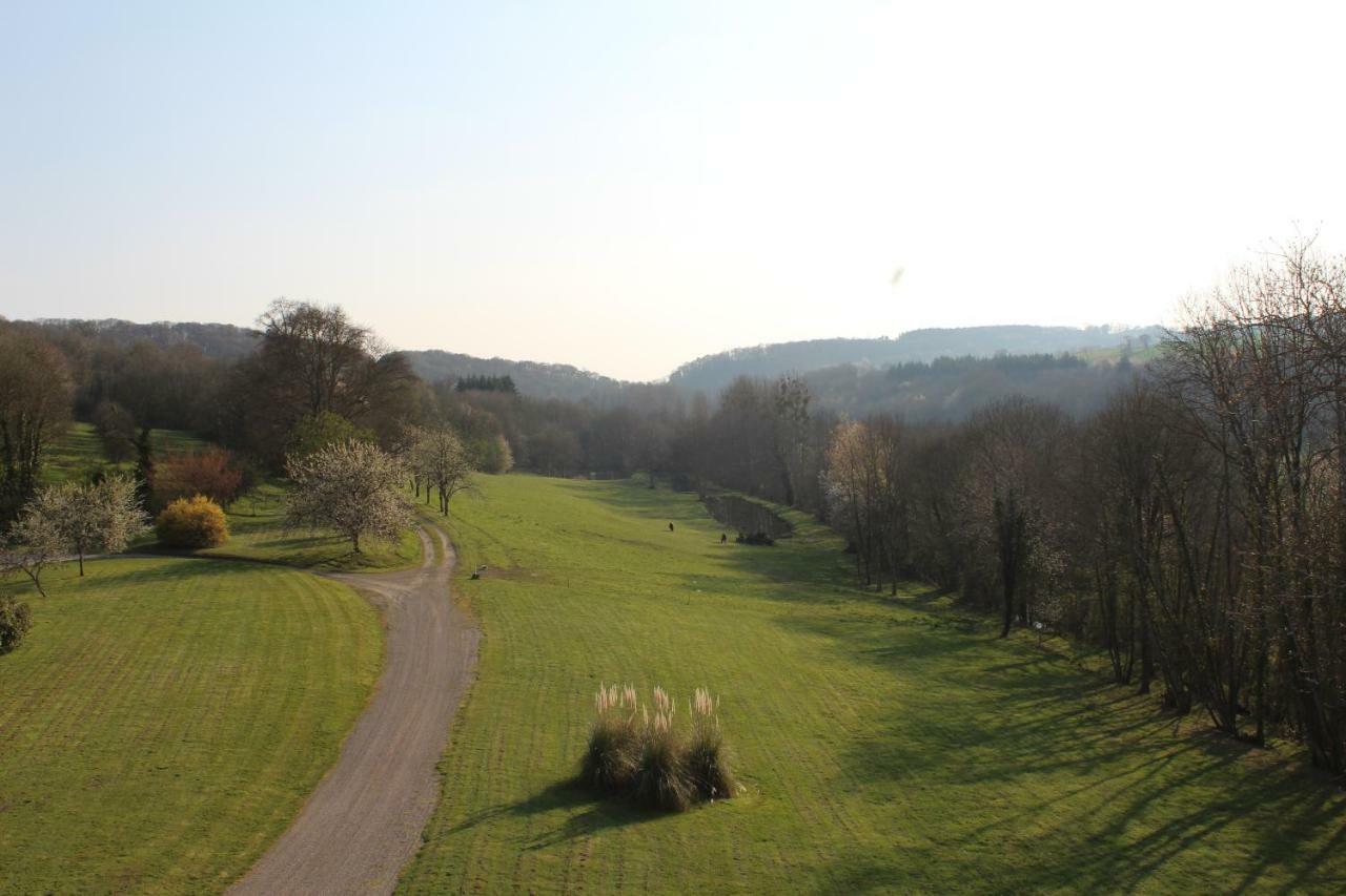 Chateau De La Lucaziere Mont-Saint-Jean  外观 照片